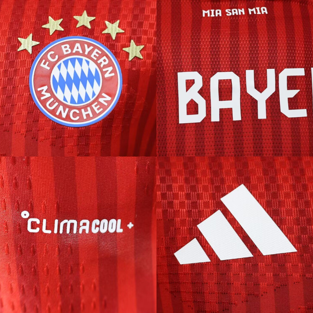 Bayern Munich 24-25 Visit player version