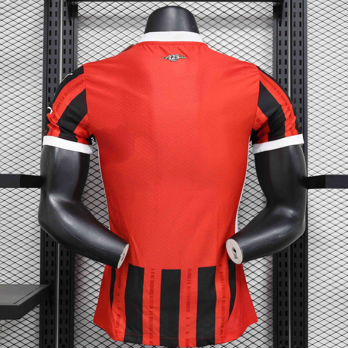 Milan 23-24 Pleasures player version