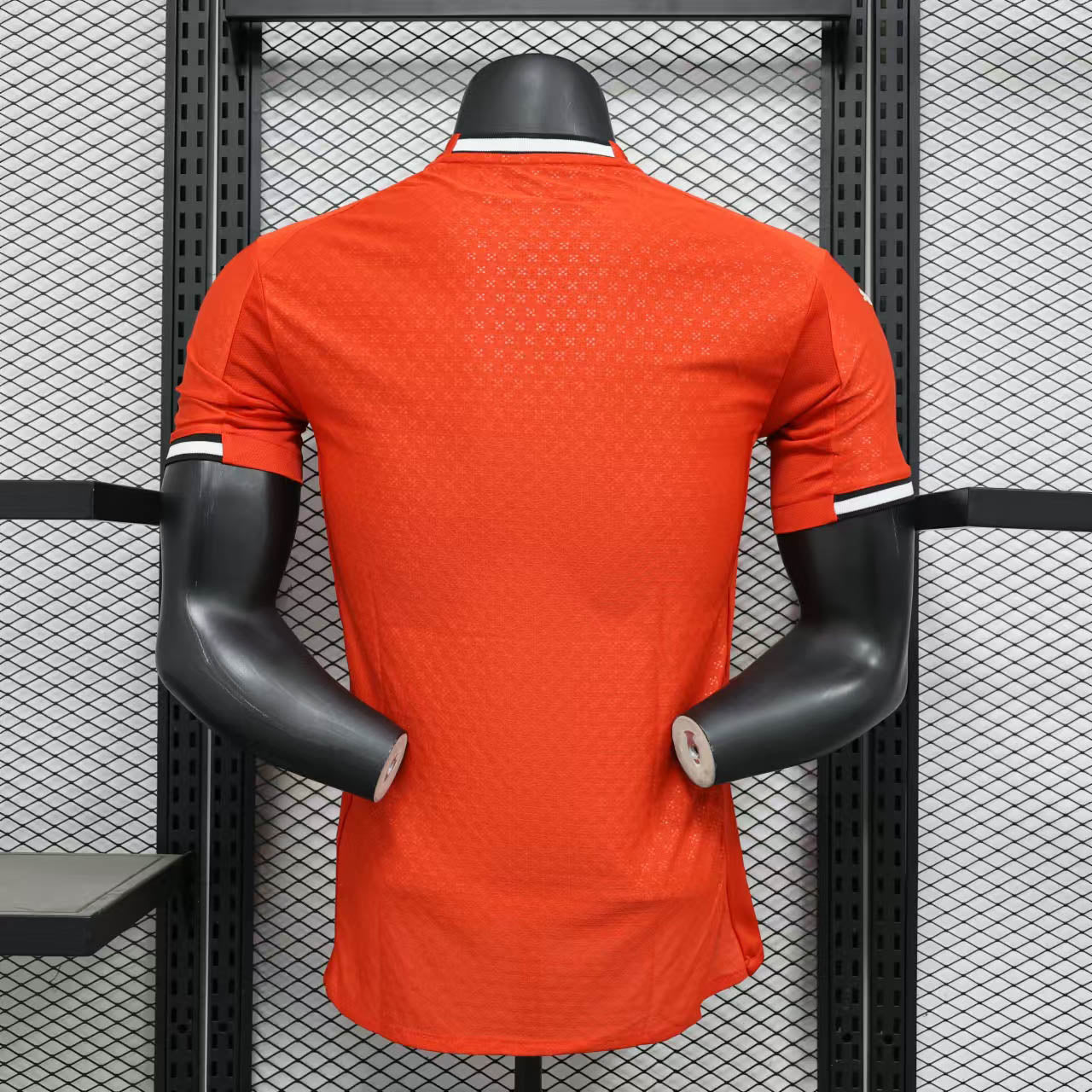 Spain 2024 Local Player Version