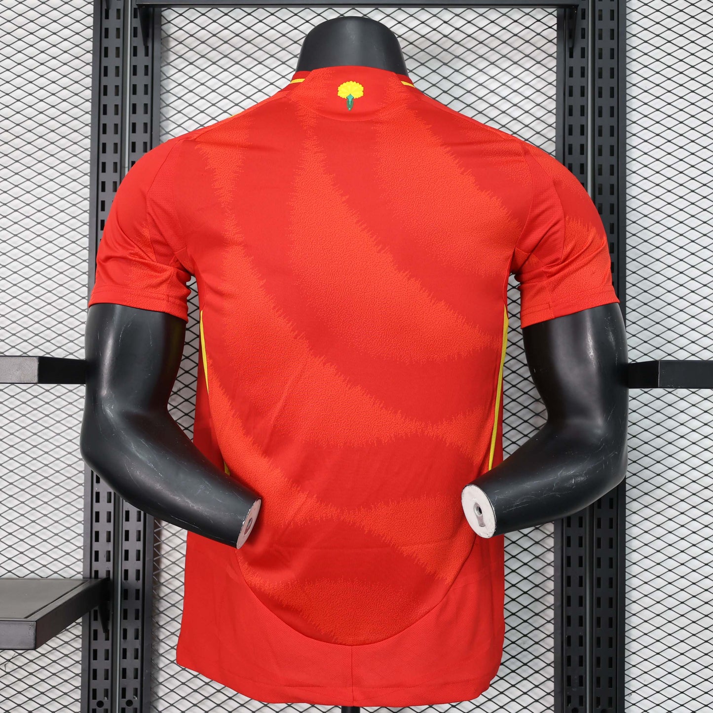 Spain 2024 Local Player Version
