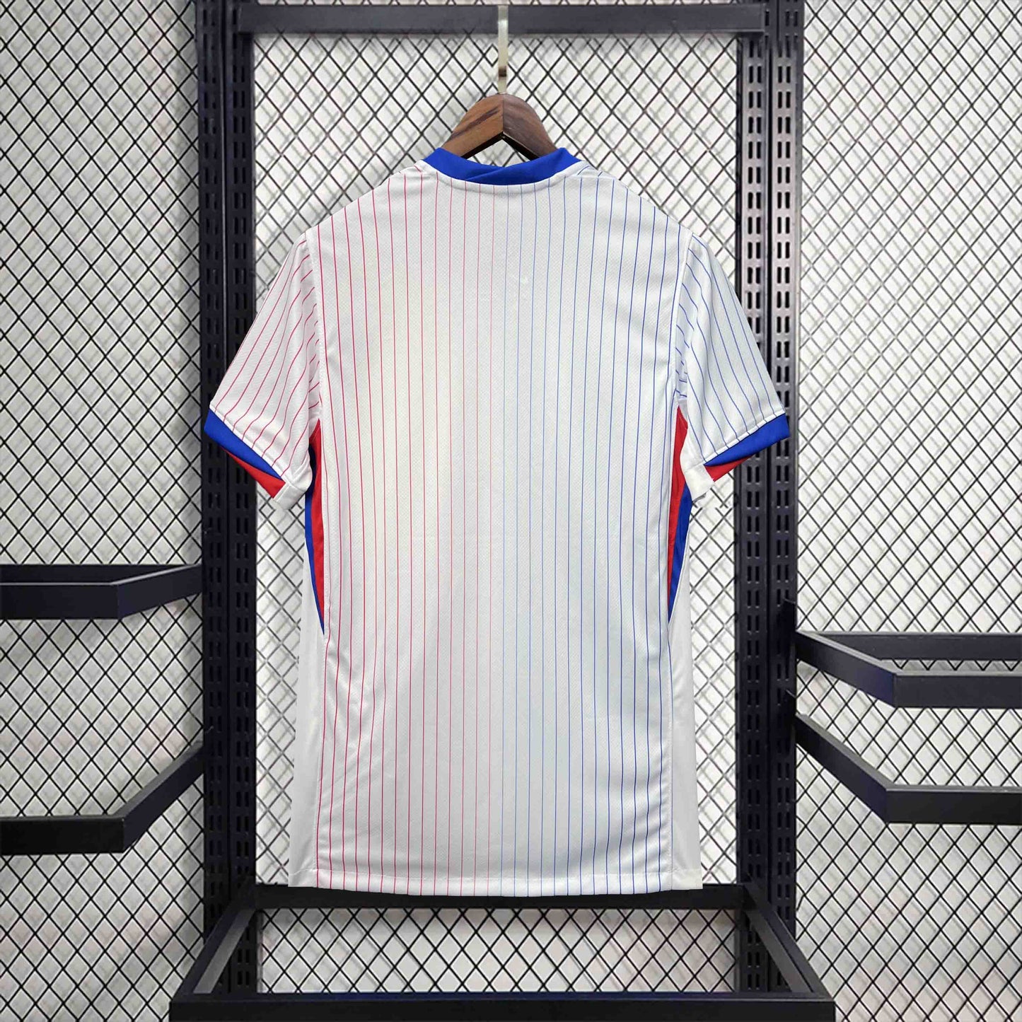 France 2024 Visit fan version