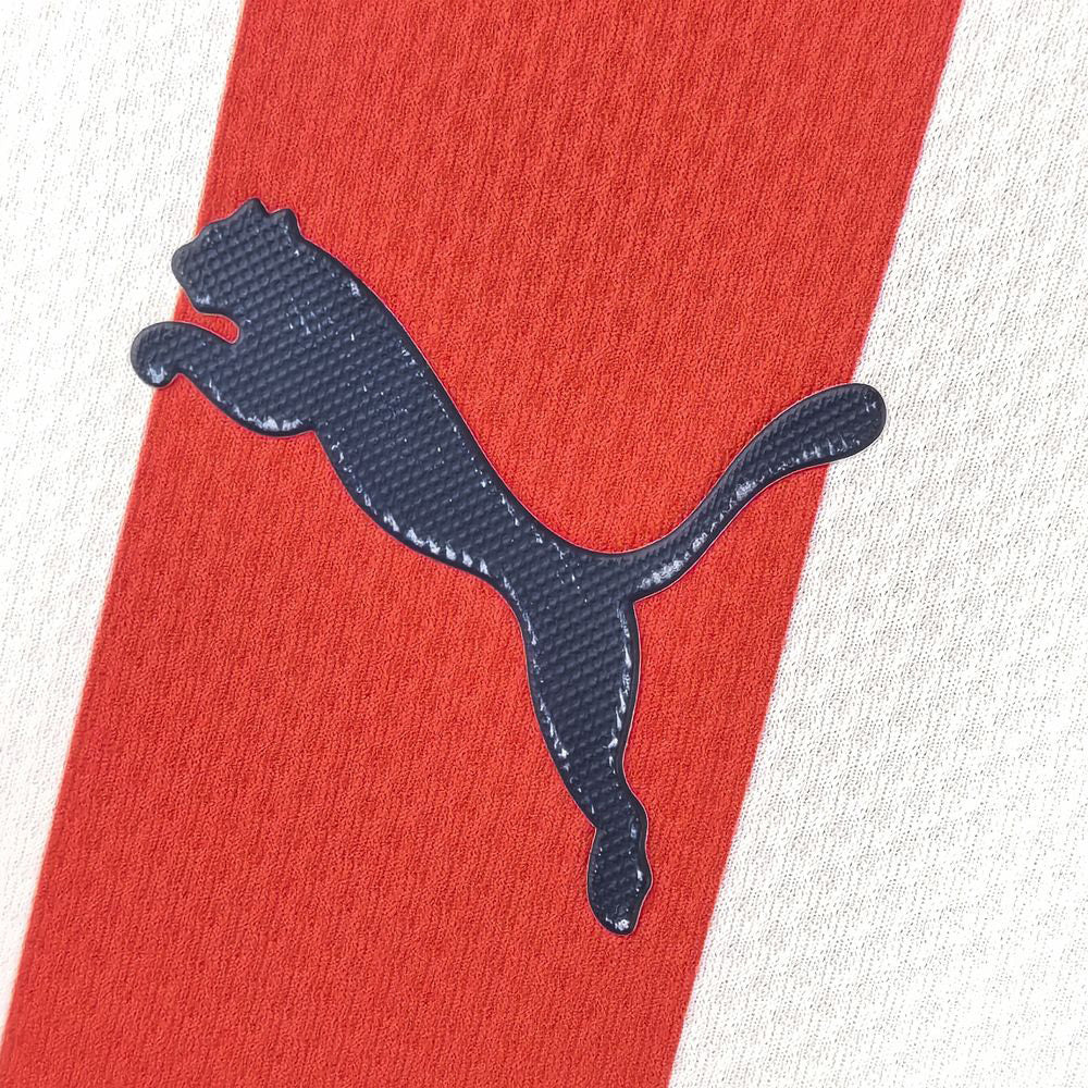 Chivas 24-25 Home Fan Version