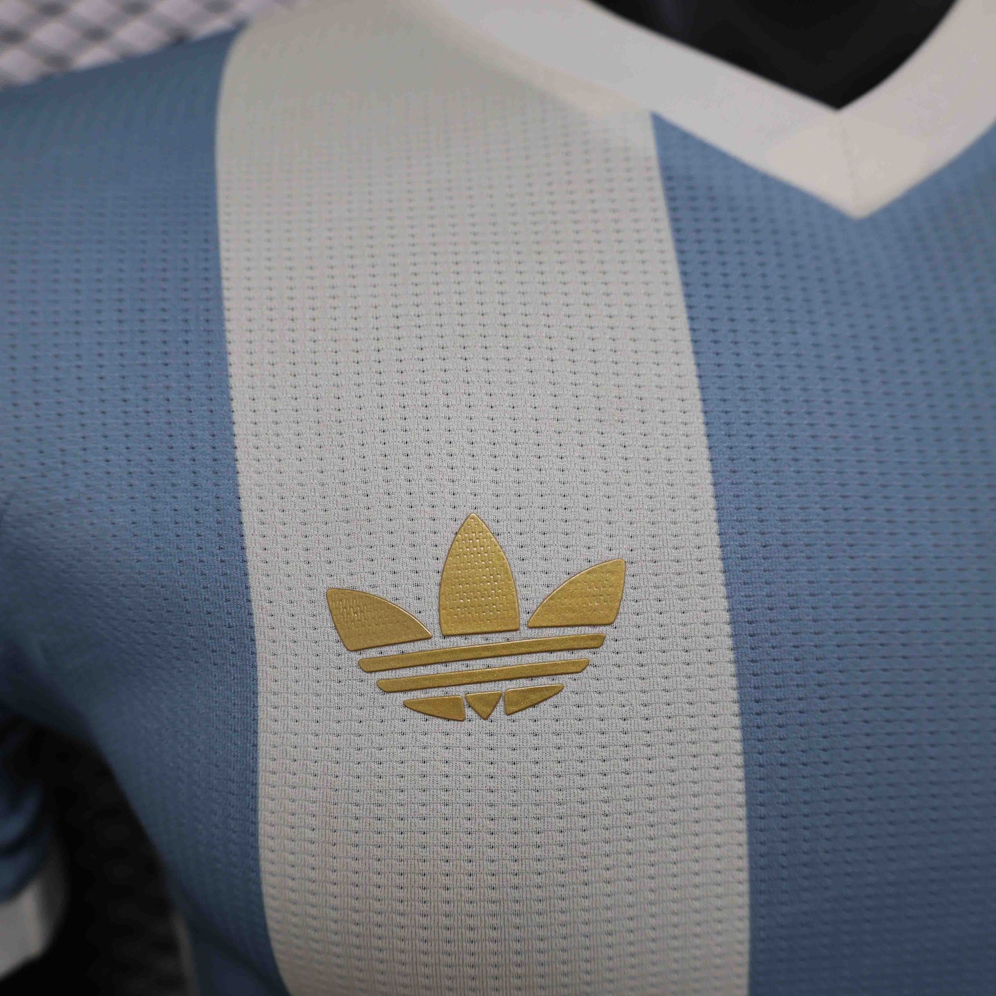 Argentina 2022 Local Player Version