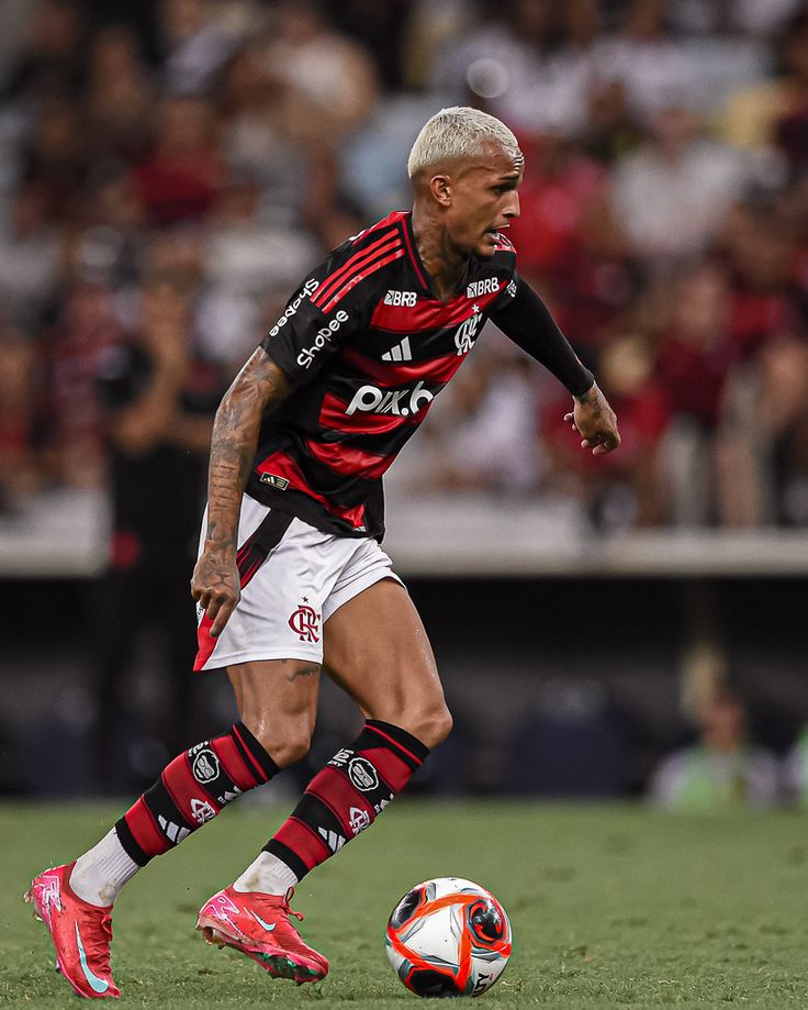 Flamengo 24-25 Local versión fan