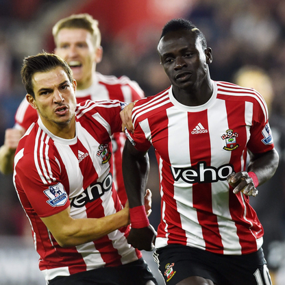 Southampton 2015-16 Local Virgil Van Dijk #17 — Liquidación talla M
