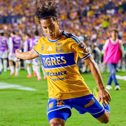 Tigres 2026/27 local versión jugador
