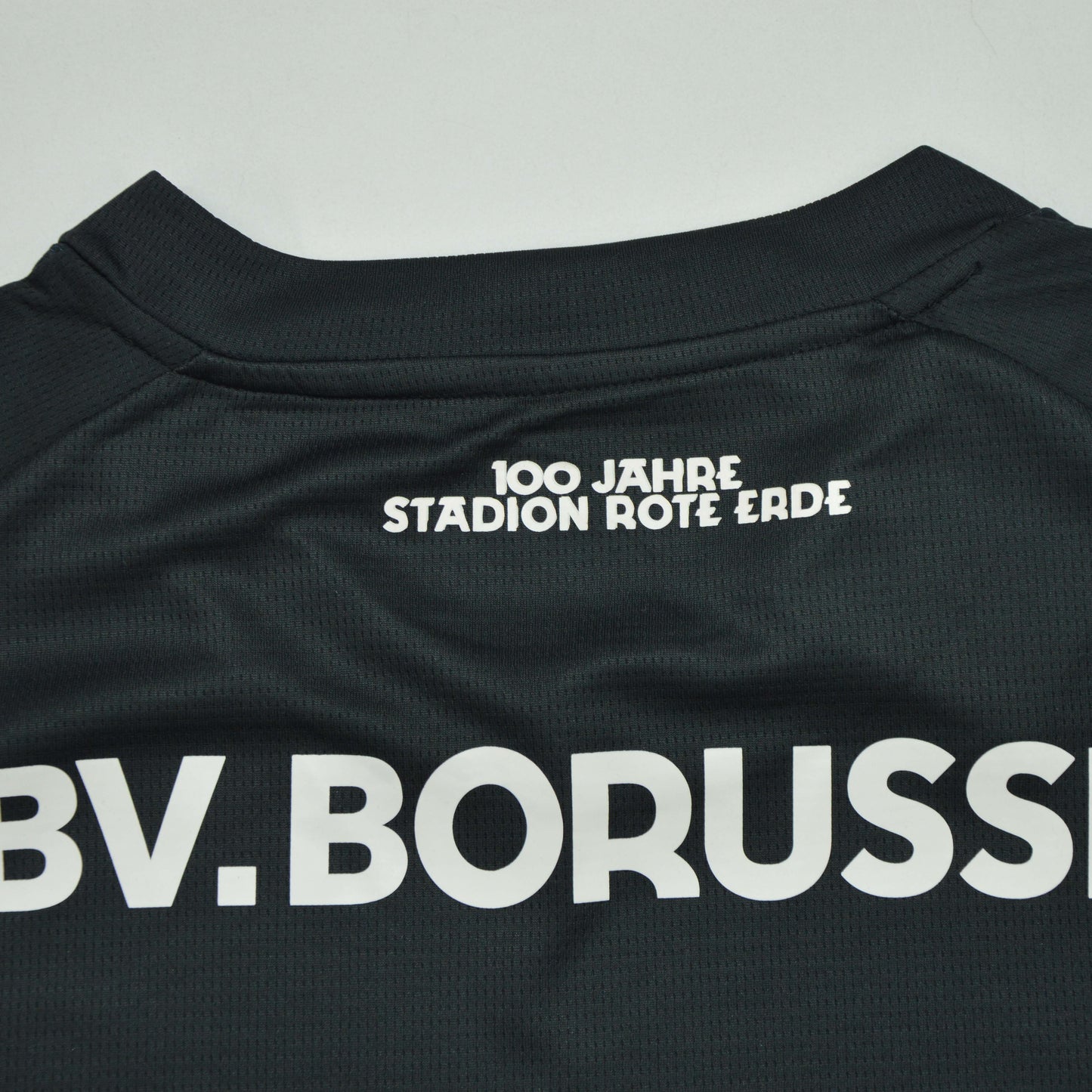 Borussia Dortmund 2026 100 Años Estadio Rote Erde