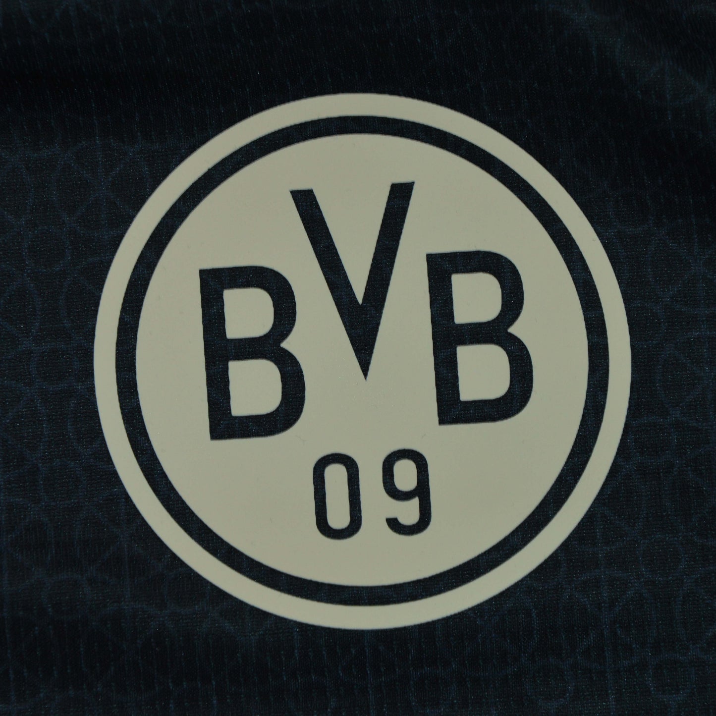 Borussia Dortmund 2026 100 Años Estadio Rote Erde