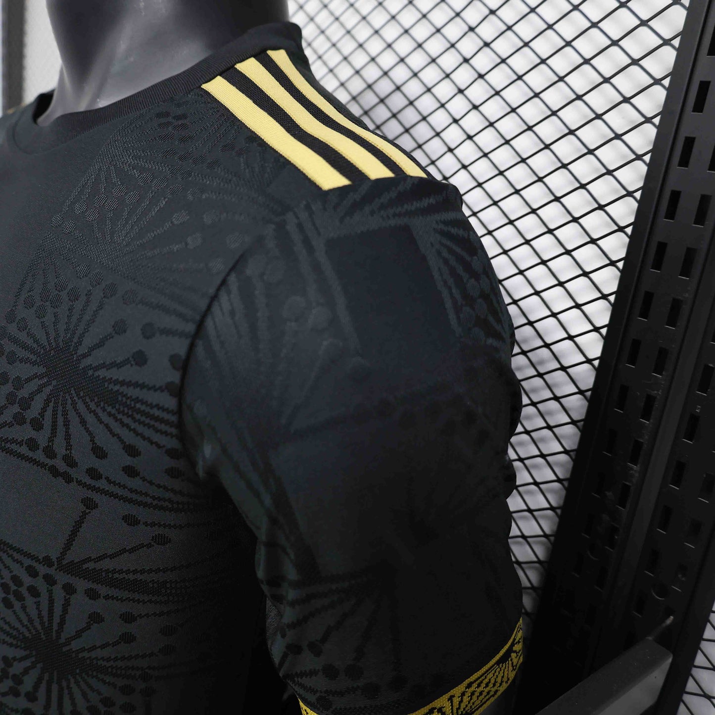 Brazil 2024 Local Player Version