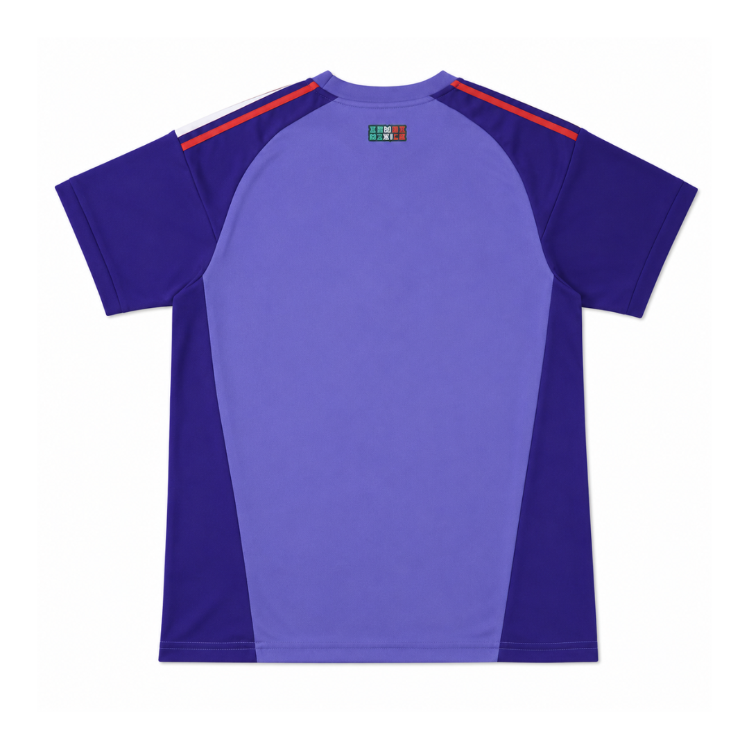 Spain 2024 Local fan version