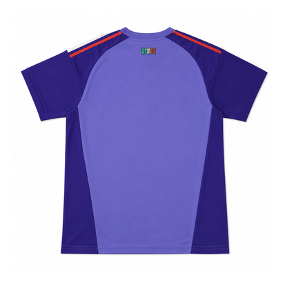 Spain 2024 Local fan version