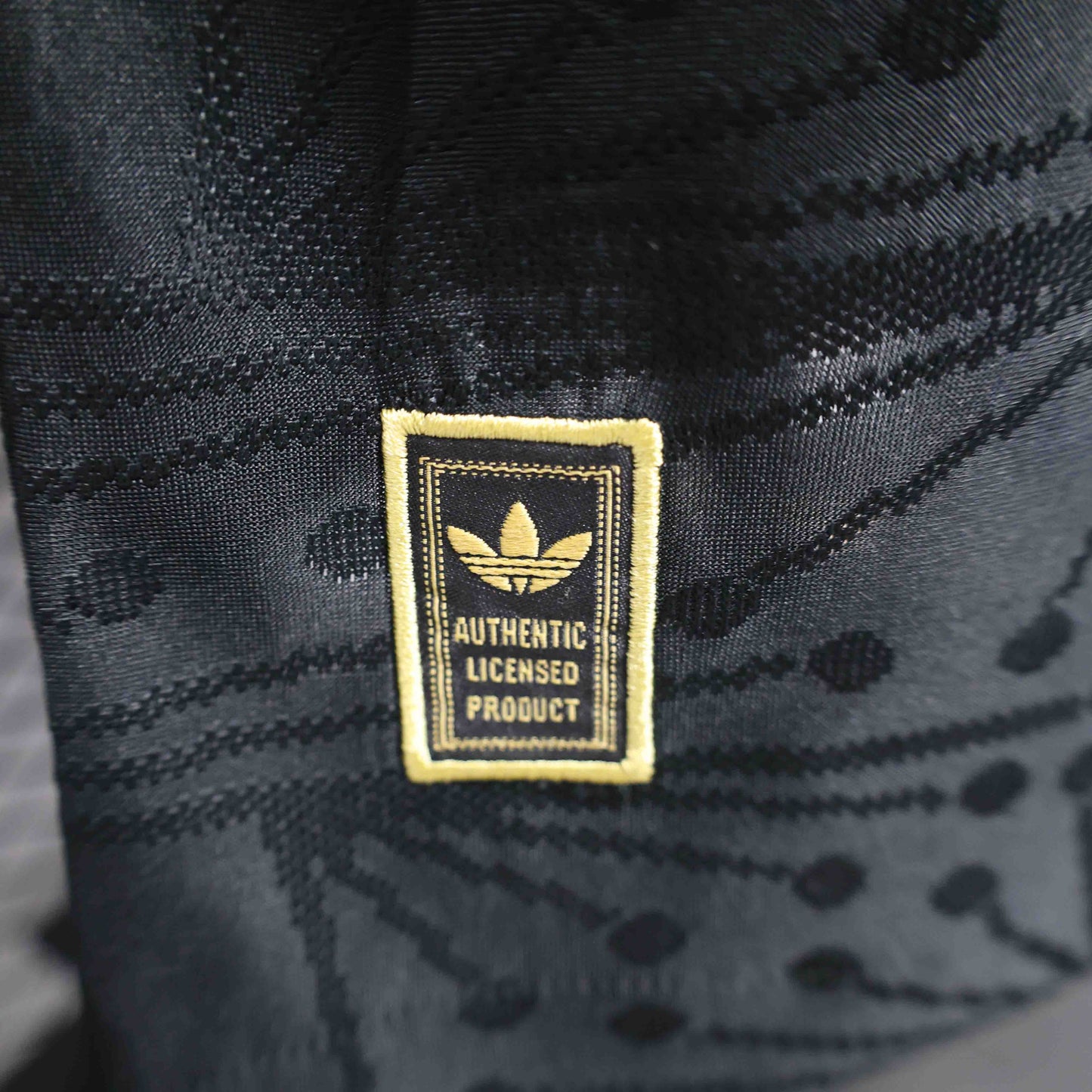 Brazil 2024 Local Player Version