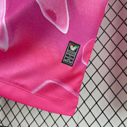 Spain 2024 Local Player Version