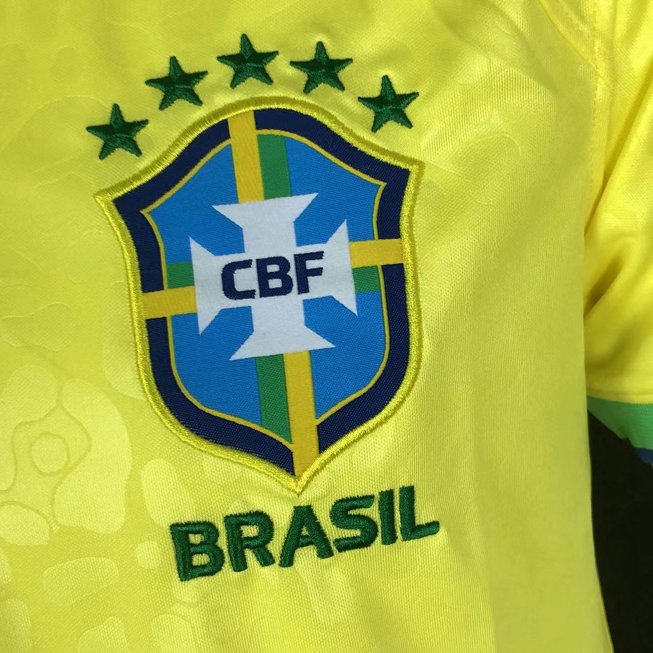 France 2024 Visit fan version