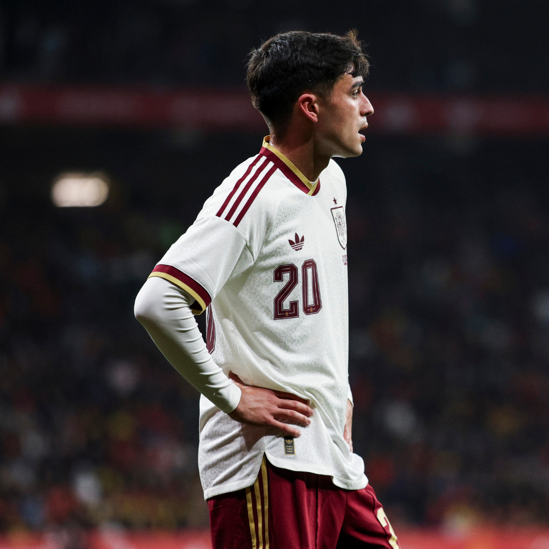 España Mundial 2026 Visita versión fan