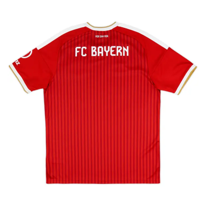 Bayern Munich 24-25 Visit player version