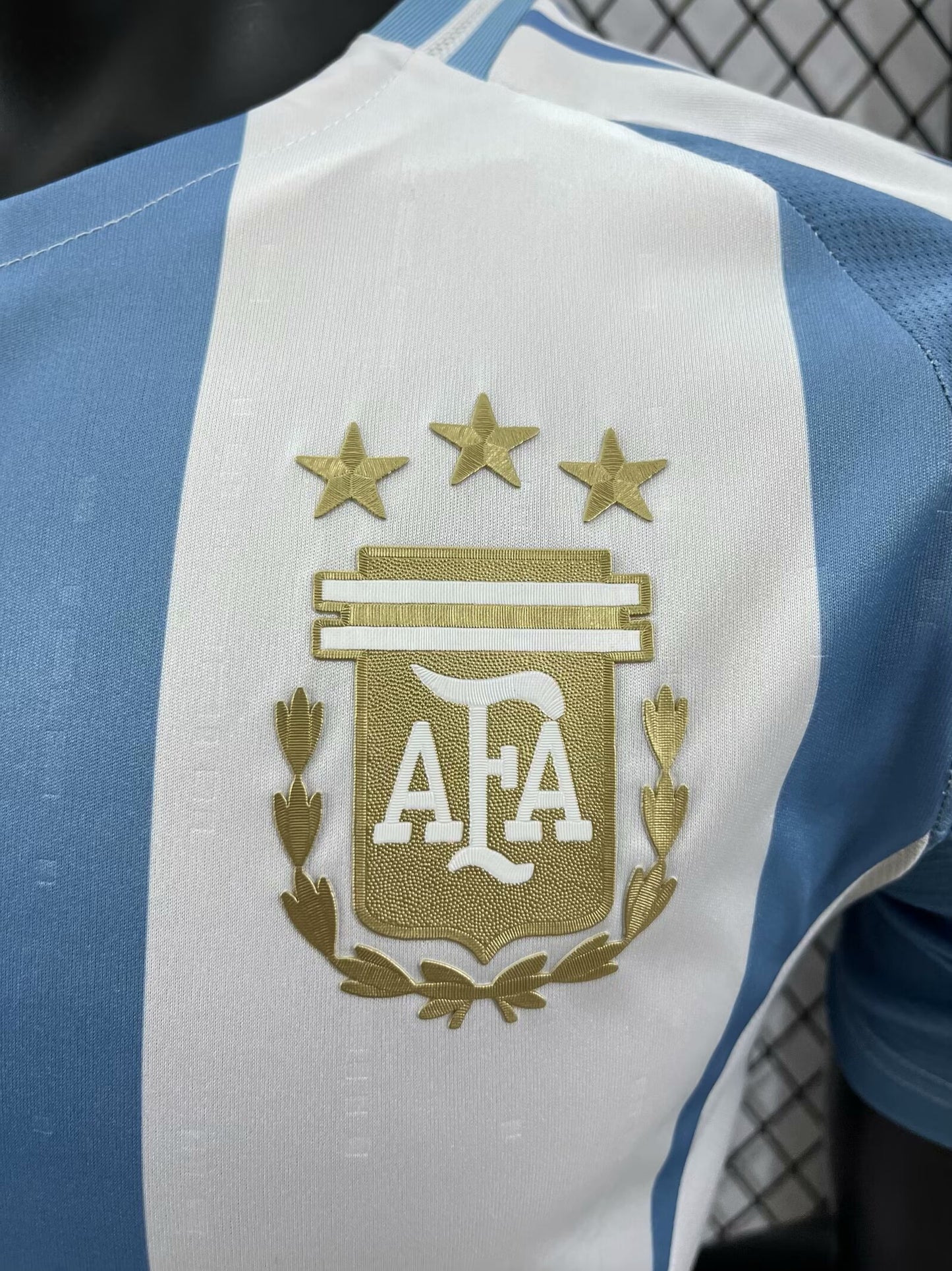 Argentina 2024 Local Player Version