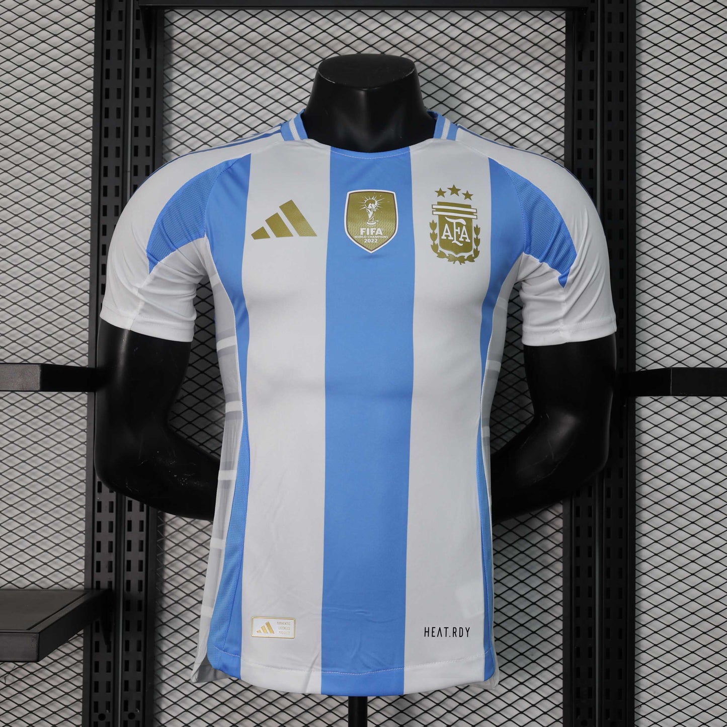 Argentina 2024 Local versión jugador