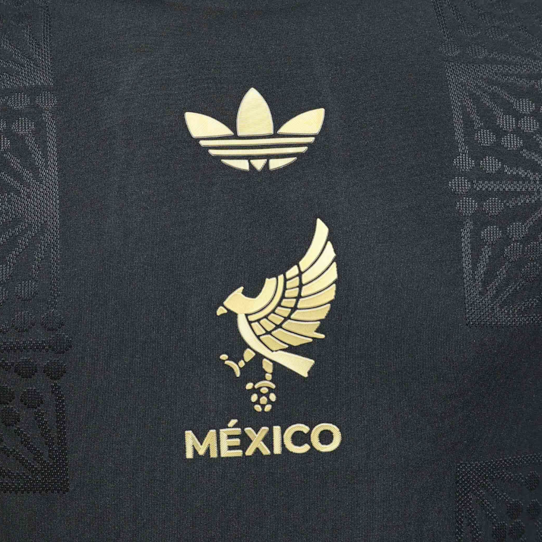 Brazil 2024 Local Player Version