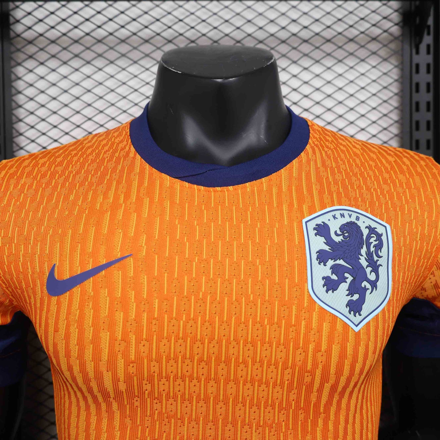 Holland 2024 Home Player Version