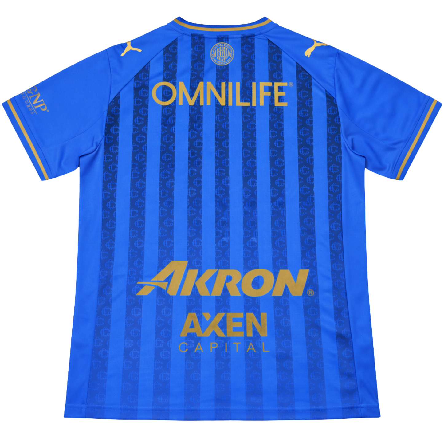 Chivas 24-25 Home Fan Version