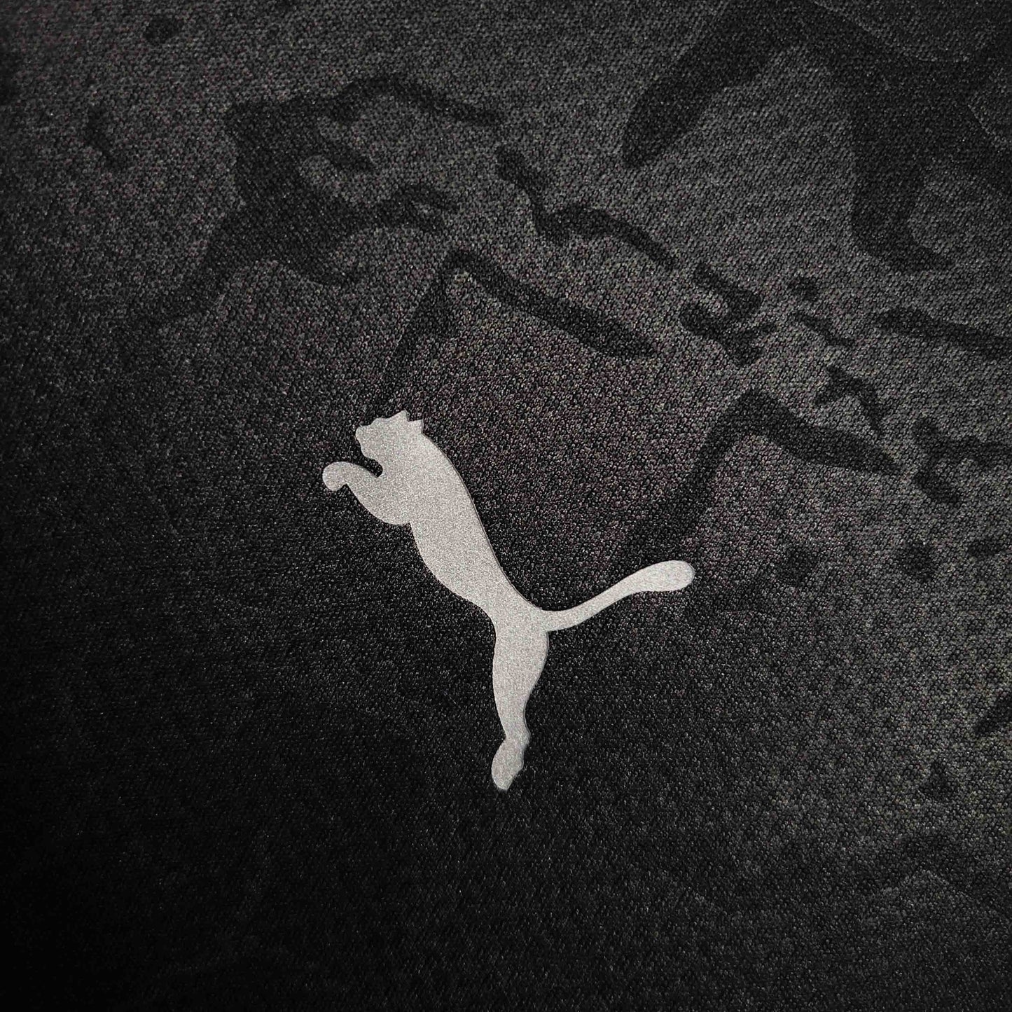 Borussia Dortmund 23-24 Alternative player version