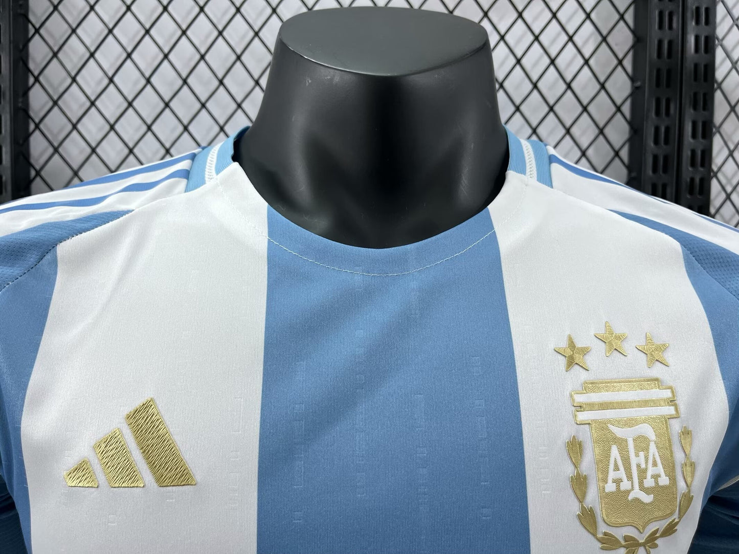 Argentina 2024 Local Player Version