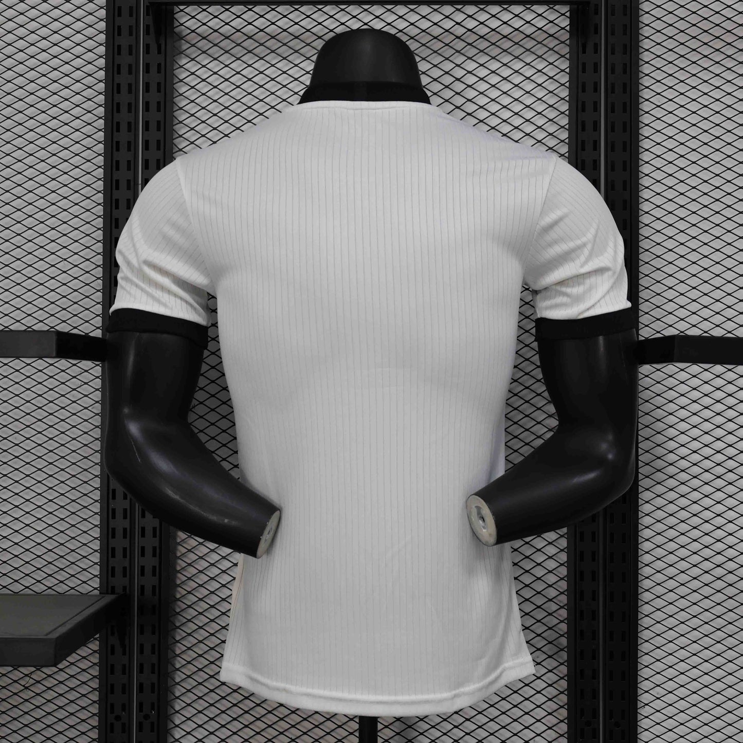 Germany 2024 Home Player Version