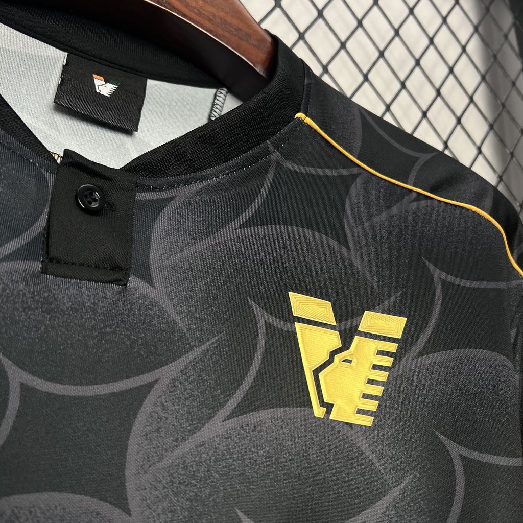 Arsenal 24-25 Visit fan version